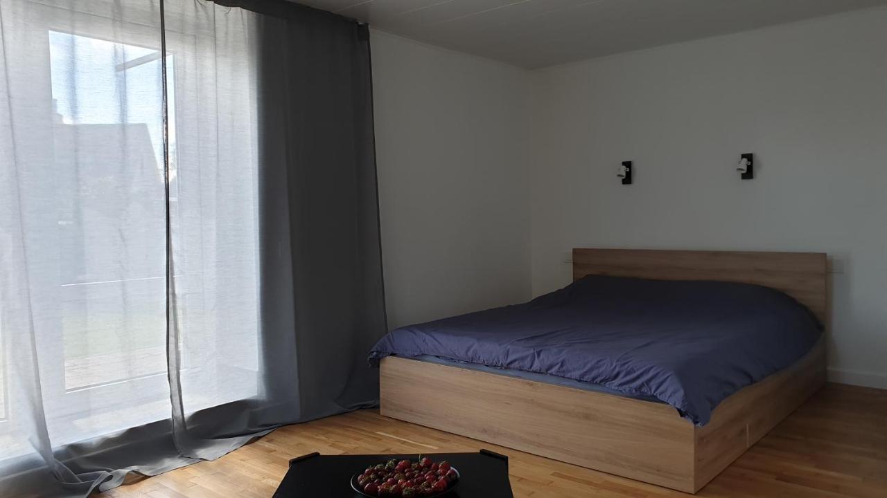 Ferienwohnung Muziejaus 10 Studija Anykščiai Exterior foto
